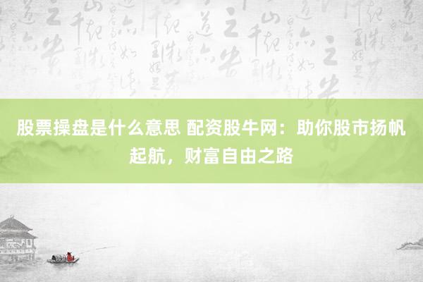 股票操盘是什么意思 配资股牛网：助你股市扬帆起航，财富自由之路