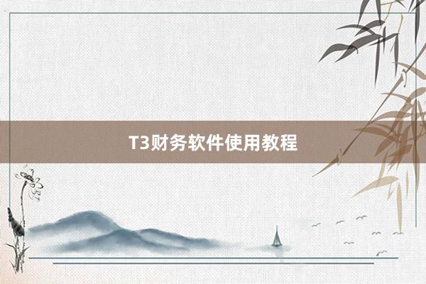 T3财务软件使用教程